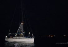 15. Jabuka